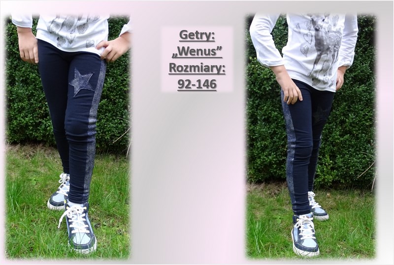 obraz214wenus.jpg